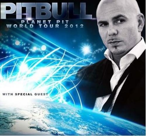 Product picture Pitbull - best and mixes